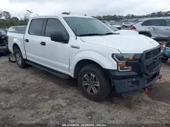 1FTEW1CF9HFB53110 2017 FORD F-150
