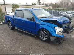 1FTEW1CF9HFB98838 2017 FORD F-150