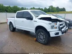 1FTEW1CFXGFA08396 2016 FORD F-150