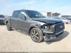 1FTEW1CG0HFB49553 2017 FORD F-150