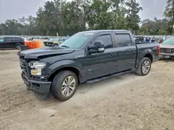 1FTEW1CG0HFB99806 2017 FORD F-150