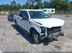 1FTEW1CG2HFB23133 2017 FORD F-150