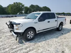 1FTEW1CG3HFB82059 2017 FORD F-150