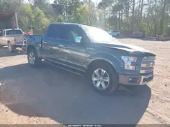 1FTEW1CG4GFA63113 2016 FORD F-150
