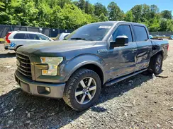 1FTEW1CG4GFB81694 2016 FORD F-150