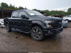 1FTEW1CG4GKE28218 2016 FORD F-150