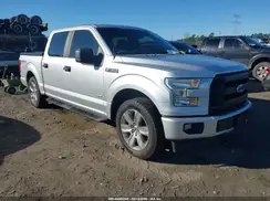 1FTEW1CG6HFB06299 2017 FORD F-150