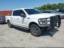 1FTEW1CG6HKD56469 2017 FORD F-150