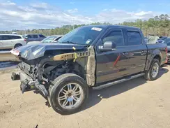 1FTEW1CG6HKE45216 2017 FORD F-150