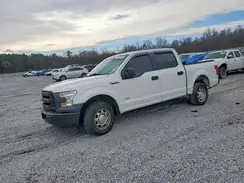 1FTEW1CP0HFA81514 2017 FORD F-150