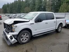 1FTEW1CP0HKC25148 2017 FORD F-150