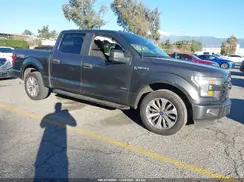 1FTEW1CP0HKE21686 2017 FORD F-150