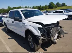 1FTEW1CP0KFA17688 2019 FORD F-150
