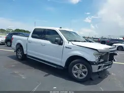 1FTEW1CP0KKF22976 2019 FORD F-150