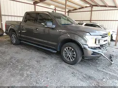 1FTEW1CP0LFC62489 2020 FORD F-150
