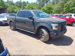 1FTEW1CP1GKE46613 2016 FORD F-150