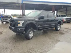 1FTEW1CP1HFA41894 2017 FORD F-150