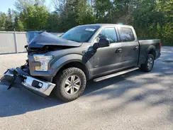 1FTEW1CP1HFB56804 2017 FORD F-150