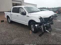 1FTEW1CP1HFB73781 2017 FORD F-150