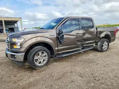 1FTEW1CP1HFB99586 2017 FORD F-150