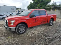 1FTEW1CP1HKC76335 2017 FORD F-150