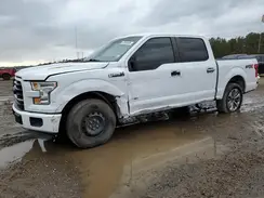 1FTEW1CP1HKD07308 2017 FORD F-150