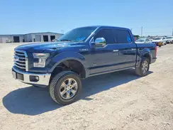 1FTEW1CP1HKE13886 2017 FORD F-150