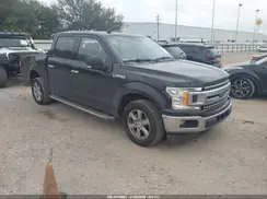1FTEW1CP1KKC83843 2019 FORD F-150