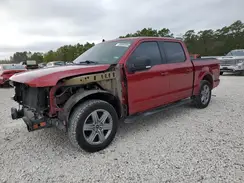 1FTEW1CP1KKE33210 2019 FORD F-150