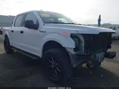 1FTEW1CP1KKE37919 2019 FORD F-150