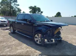 1FTEW1CP1LKE79055 2020 FORD F-150