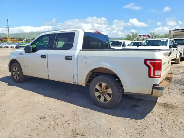 1FTEW1CP2GFA16923 2016 FORD F-150 - Image 2