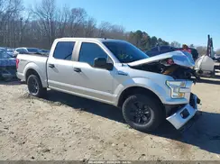 1FTEW1CP2GFB61900 2016 FORD F-150