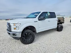 1FTEW1CP2GKF45649 2016 FORD F-150
