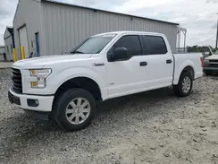 1FTEW1CP2HKC73282 2017 FORD F-150
