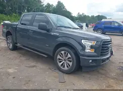 1FTEW1CP2HKD16227 2017 FORD F-150