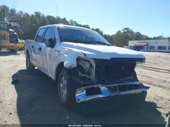 1FTEW1CP2KKF07640 2019 FORD F-150