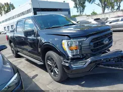1FTEW1CP2MFB10134 2021 FORD F-150