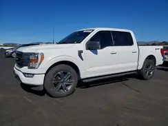 1FTEW1CP2PKE62397 2023 FORD F-150