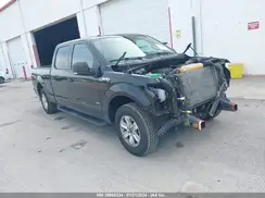 1FTEW1CP3GFA56461 2016 FORD F-150