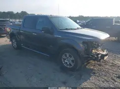1FTEW1CP3GFB19283 2016 FORD F-150
