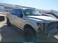 1FTEW1CP3HKE13078 2017 FORD F-150