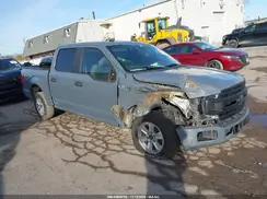 1FTEW1CP3KKE35461 2019 FORD F-150
