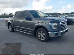 1FTEW1CP4GFB45326 2016 FORD F-150