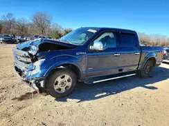 1FTEW1CP4GFC26553 2016 FORD F-150