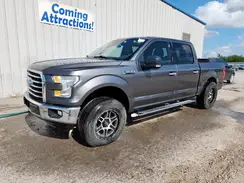 1FTEW1CP4GKF17139 2016 FORD F-150