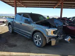 1FTEW1CP4LKD97482 2020 FORD F-150