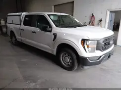1FTEW1CP4PKD64049 2023 FORD F-150