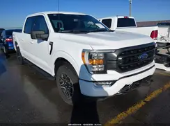 1FTEW1CP4PKG19427 2023 FORD F-150