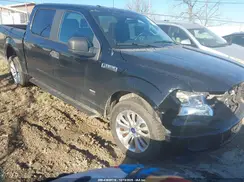 1FTEW1CP5GFD10462 2016 FORD F-150